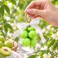 Savon artisanal - Pêche Verte 🍏